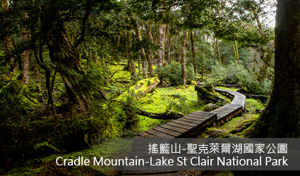 澳洲-塔斯馬尼亞-聖克萊爾湖國家公園-搖籃山